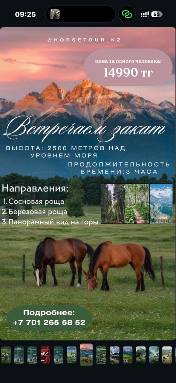 Конный тур